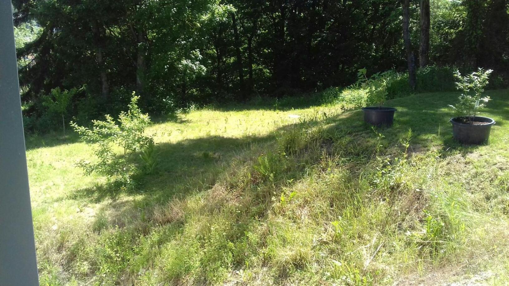 Ferienwohnung Ameis Heiligenstadt in Oberfranken Εξωτερικό φωτογραφία